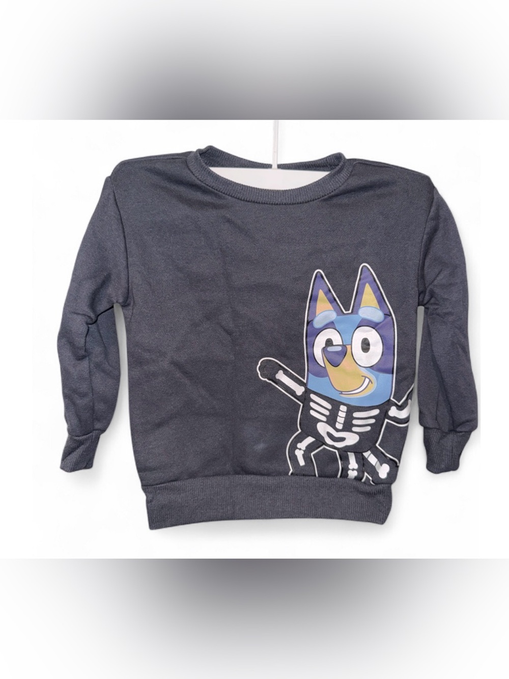 Size 2T Kids' Navy Blue Character Sweatshirt - Bluey Skeleton Graphic